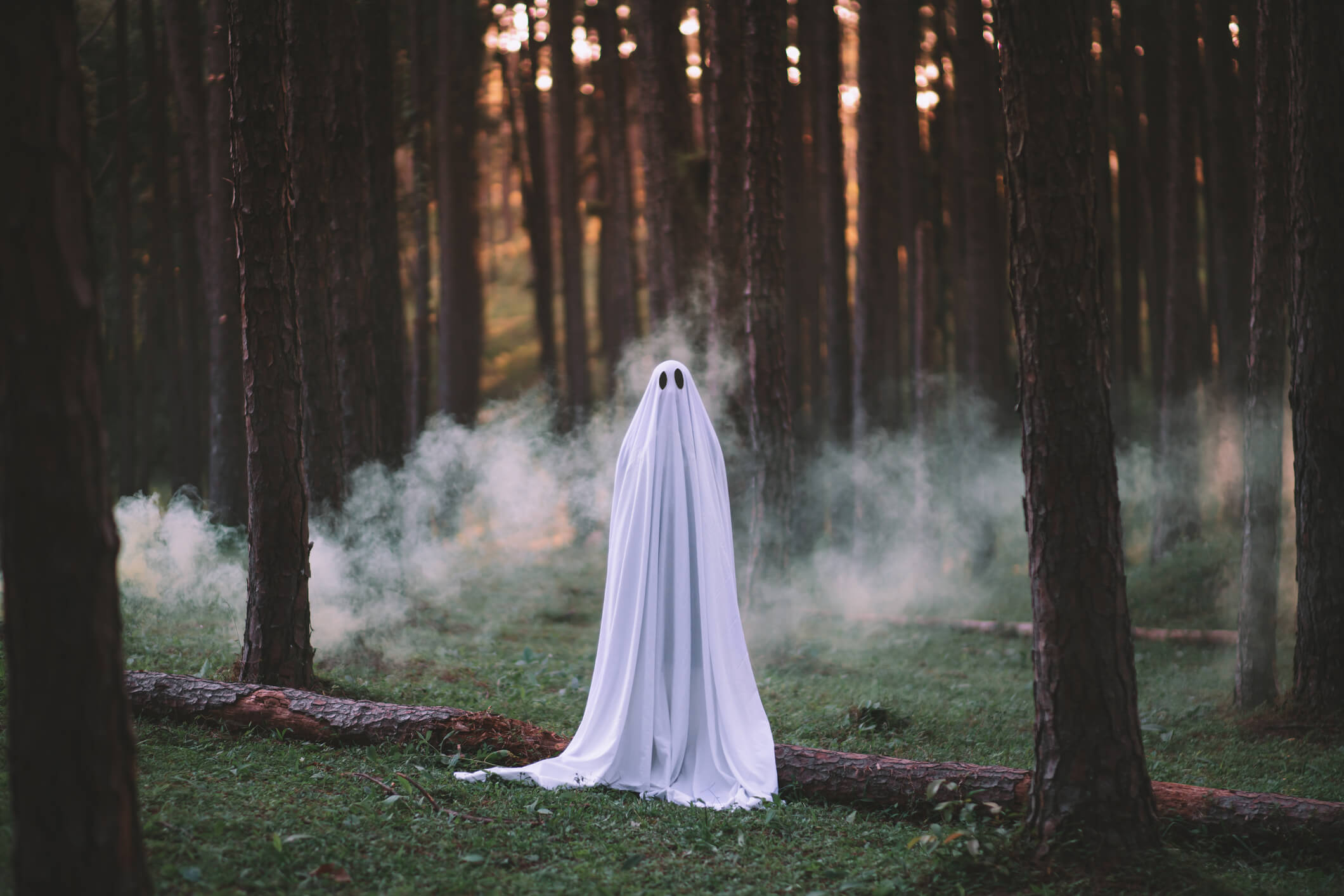 Dobry duch każdej publikacji. Czym zajmuje się ghost writer?